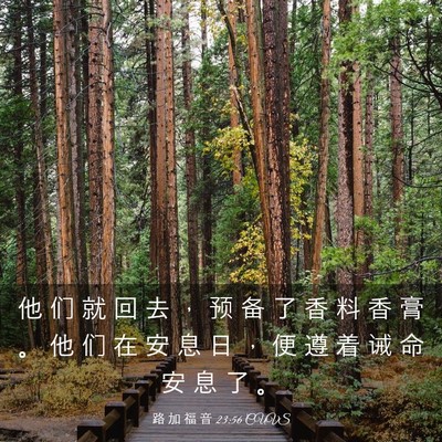 Picture 03 - 路 加 福 音 23:56 CUVS - 他 们 就 回 去 ， 预 备 了 香 料 香 - Bible Verse Picture