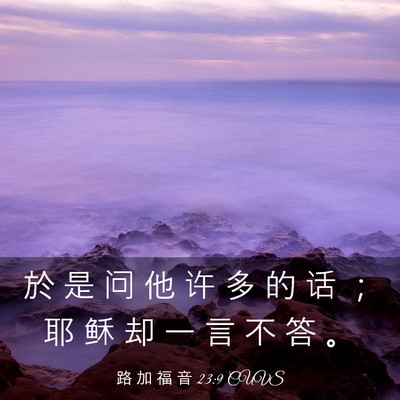 Picture 03 - 路 加 福 音 23:9 CUVS - 於 是 问 他 许 多 的 话 ； 耶 稣 却 - Bible Verse Picture
