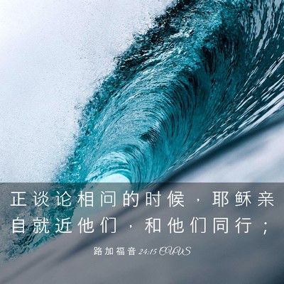 Picture 03 - 路 加 福 音 24:15 CUVS - 正 谈 论 相 问 的 时 候 ， 耶 稣 亲 - Bible Verse Picture