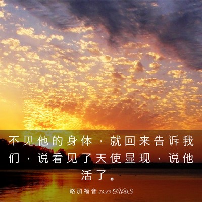 Picture 03 - 路 加 福 音 24:23 CUVS - 不 见 他 的 身 体 ， 就 回 来 告 诉 - Bible Verse Picture