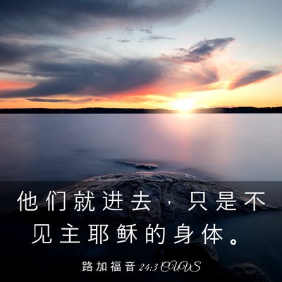 Picture 03 - 路 加 福 音 24:3 CUVS - 他 们 就 进 去 ， 只 是 不 见 主 耶 - Bible Verse Picture