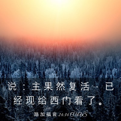 Picture 03 - 路 加 福 音 24:34 CUVS - 说 ： 主 果 然 复 活 ， 已 经 现 给 - Bible Verse Picture