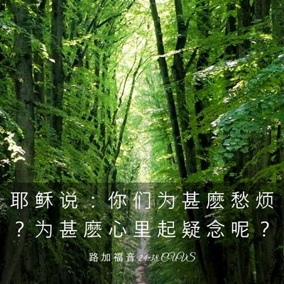 Picture 03 - 路 加 福 音 24:38 CUVS - 耶 稣 说 ： 你 们 为 甚 麽 愁 烦 ？ - Bible Verse Picture