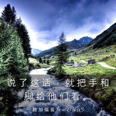 Picture 03 - 路 加 福 音 24:40 CUVS - 说 了 这 话 ， 就 把 手 和 脚 给 他 - Bible Verse Picture
