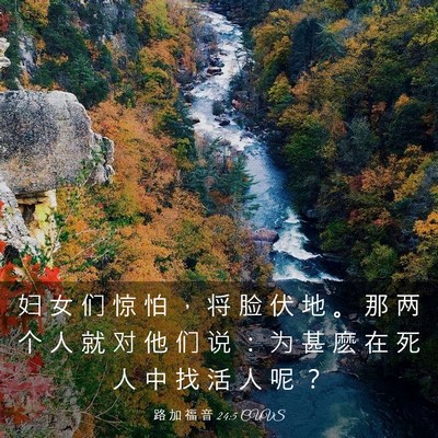 Picture 03 - 路 加 福 音 24:5 CUVS - 妇 女 们 惊 怕 ， 将 脸 伏 地 。 那 - Bible Verse Picture