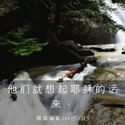 Picture 03 - 路 加 福 音 24:8 CUVS - 他 们 就 想 起 耶 稣 的 话 来 - Bible Verse Picture