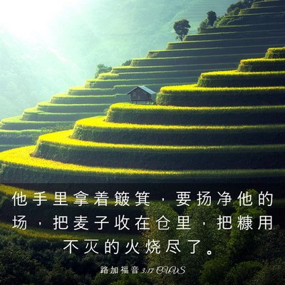 Picture 03 - 路 加 福 音 3:17 CUVS - 他 手 里 拿 着 簸 箕 ， 要 扬 净 他 - Bible Verse Picture