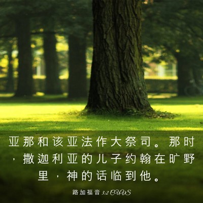 Picture 03 - 路 加 福 音 3:2 CUVS - 亚 那 和 该 亚 法 作 大 祭 司 。 那 - Bible Verse Picture