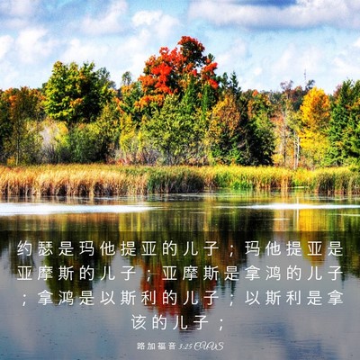 Picture 03 - 路 加 福 音 3:25 CUVS - 约 瑟 是 玛 他 提 亚 的 儿 子 ； 玛 - Bible Verse Picture