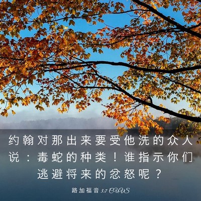 Picture 03 - 路 加 福 音 3:7 CUVS - 约 翰 对 那 出 来 要 受 他 洗 的 众 - Bible Verse Picture