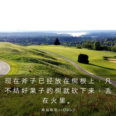 Picture 03 - 路 加 福 音 3:9 CUVS - 现 在 斧 子 已 经 放 在 树 根 上 ， - Bible Verse Picture