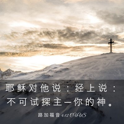 Picture 03 - 路 加 福 音 4:12 CUVS - 耶 稣 对 他 说 ： 经 上 说 ： 不 可 - Bible Verse Picture