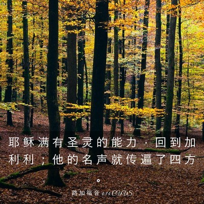 Picture 03 - 路 加 福 音 4:14 CUVS - 耶 稣 满 有 圣 灵 的 能 力 ， 回 到 - Bible Verse Picture