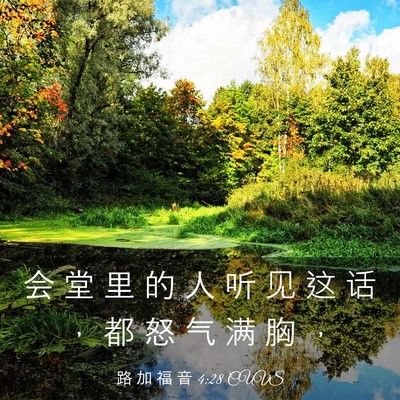 Picture 03 - 路 加 福 音 4:28 CUVS - 会 堂 里 的 人 听 见 这 话 ， 都 怒 - Bible Verse Picture