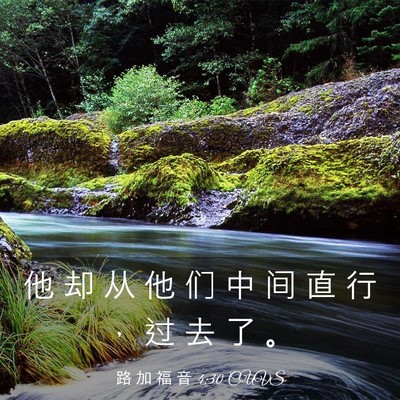 Picture 03 - 路 加 福 音 4:30 CUVS - 他 却 从 他 们 中 间 直 行 ， 过 去 - Bible Verse Picture