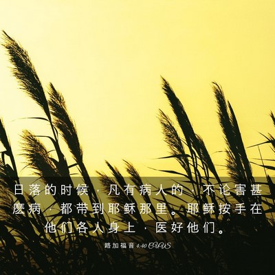 Picture 03 - 路 加 福 音 4:40 CUVS - 日 落 的 时 候 ， 凡 有 病 人 的 ， - Bible Verse Picture
