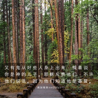 Picture 03 - 路 加 福 音 4:41 CUVS - 又 有 鬼 从 好 些 人 身 上 出 来 ， - Bible Verse Picture