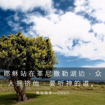 Picture 03 - 路 加 福 音 5:1 CUVS - 耶 稣 站 在 革 尼 撒 勒 湖 边 ， 众 - Bible Verse Picture