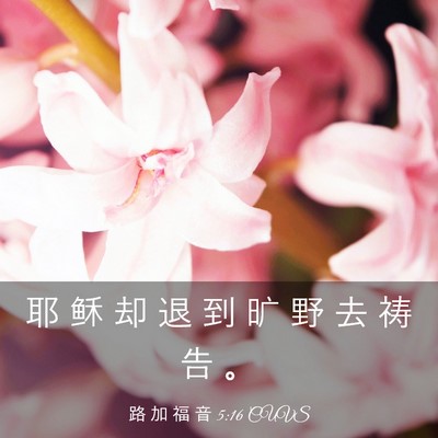 Picture 03 - 路 加 福 音 5:16 CUVS - 耶 稣 却 退 到 旷 野 去 祷 告 - Bible Verse Picture