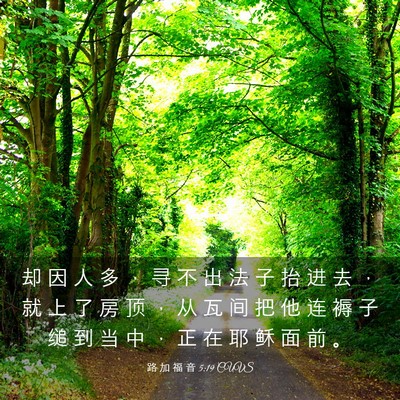 Picture 03 - 路 加 福 音 5:19 CUVS - 却 因 人 多 ， 寻 不 出 法 子 抬 进 - Bible Verse Picture