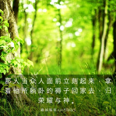 Picture 03 - 路 加 福 音 5:25 CUVS - 那 人 当 众 人 面 前 立 刻 起 来 ， - Bible Verse Picture