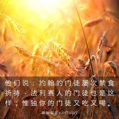 Picture 03 - 路 加 福 音 5:33 CUVS - 他 们 说 ： 约 翰 的 门 徒 屡 次 禁 - Bible Verse Picture
