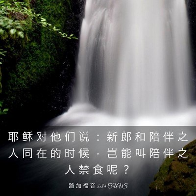 Picture 03 - 路 加 福 音 5:34 CUVS - 耶 稣 对 他 们 说 ： 新 郎 和 陪 伴 - Bible Verse Picture