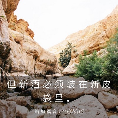 Picture 03 - 路 加 福 音 5:38 CUVS - 但 新 酒 必 须 装 在 新 皮 袋 里 - Bible Verse Picture