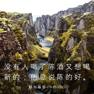 Picture 03 - 路 加 福 音 5:39 CUVS - 没 有 人 喝 了 陈 酒 又 想 喝 新 的 - Bible Verse Picture