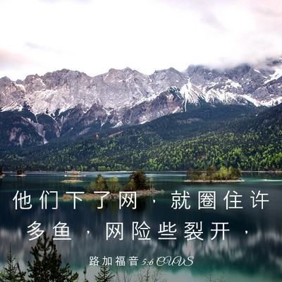 Picture 03 - 路 加 福 音 5:6 CUVS - 他 们 下 了 网 ， 就 圈 住 许 多 鱼 - Bible Verse Picture