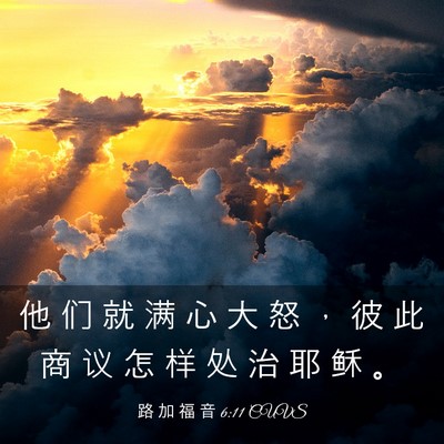 Picture 03 - 路 加 福 音 6:11 CUVS - 他 们 就 满 心 大 怒 ， 彼 此 商 议 - Bible Verse Picture