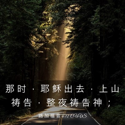Picture 03 - 路 加 福 音 6:12 CUVS - 那 时 ， 耶 稣 出 去 ， 上 山 祷 告 - Bible Verse Picture