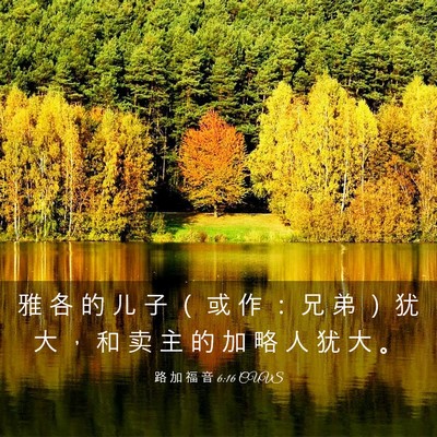 Picture 03 - 路 加 福 音 6:16 CUVS - 雅 各 的 儿 子 （ 或 作 ： 兄 弟 ） - Bible Verse Picture
