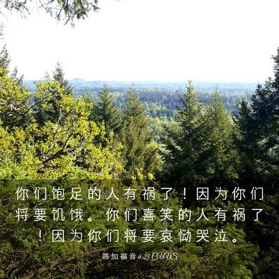 Picture 03 - 路 加 福 音 6:25 CUVS - 你 们 饱 足 的 人 有 祸 了 ！ 因 为 - Bible Verse Picture