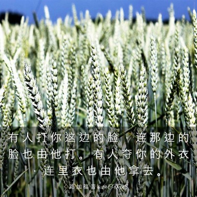 Picture 03 - 路 加 福 音 6:29 CUVS - 有 人 打 你 这 边 的 脸 ， 连 那 边 - Bible Verse Picture