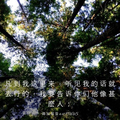 Picture 03 - 路 加 福 音 6:47 CUVS - 凡 到 我 这 里 来 ， 听 见 我 的 话 - Bible Verse Picture