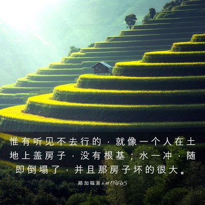 Picture 03 - 路 加 福 音 6:49 CUVS - 惟 有 听 见 不 去 行 的 ， 就 像 一 - Bible Verse Picture