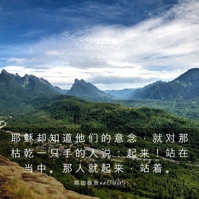 Picture 03 - 路 加 福 音 6:8 CUVS - 耶 稣 却 知 道 他 们 的 意 念 ， 就 - Bible Verse Picture