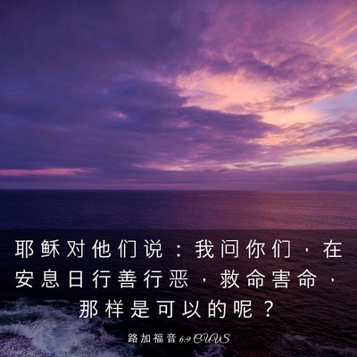 Picture 03 - 路 加 福 音 6:9 CUVS - 耶 稣 对 他 们 说 ： 我 问 你 们 ， - Bible Verse Picture