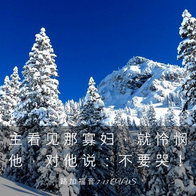 Picture 03 - 路 加 福 音 7:13 CUVS - 主 看 见 那 寡 妇 ， 就 怜 悯 他 ， - Bible Verse Picture