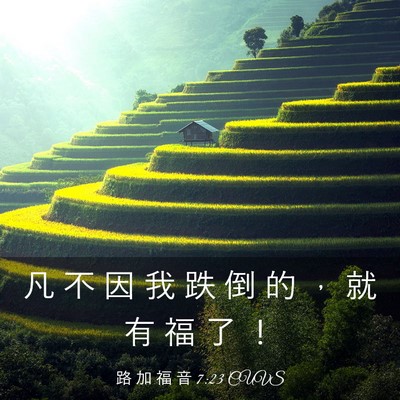 Picture 03 - 路 加 福 音 7:23 CUVS - 凡 不 因 我 跌 倒 的 ， 就 有 福 了 - Bible Verse Picture