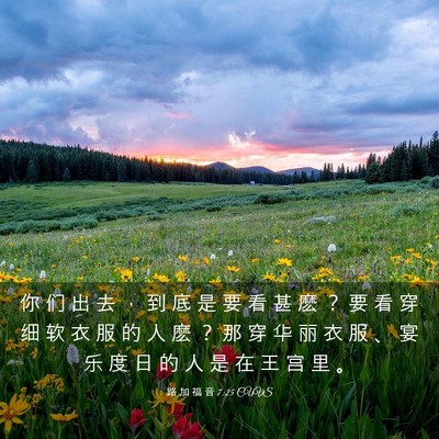 Picture 03 - 路 加 福 音 7:25 CUVS - 你 们 出 去 ， 到 底 是 要 看 甚 麽 - Bible Verse Picture