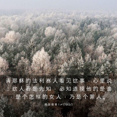 Picture 03 - 路 加 福 音 7:39 CUVS - 请 耶 稣 的 法 利 赛 人 看 见 这 事 - Bible Verse Picture