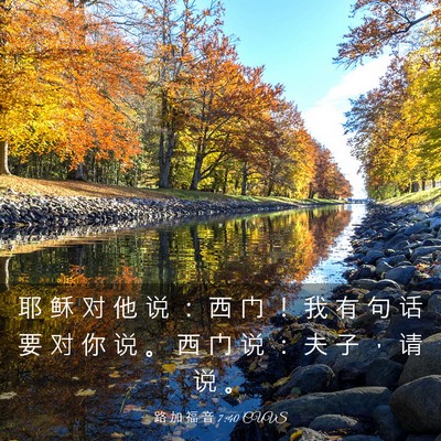 Picture 03 - 路 加 福 音 7:40 CUVS - 耶 稣 对 他 说 ： 西 门 ！ 我 有 句 - Bible Verse Picture