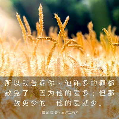 Picture 03 - 路 加 福 音 7:47 CUVS - 所 以 我 告 诉 你 ， 他 许 多 的 罪 - Bible Verse Picture