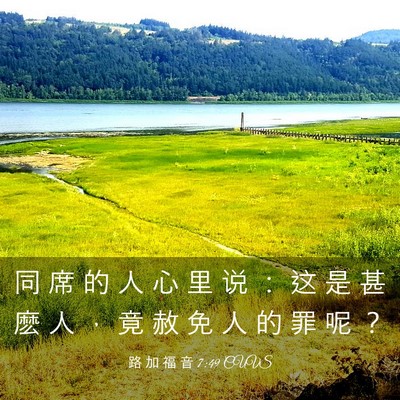 Picture 03 - 路 加 福 音 7:49 CUVS - 同 席 的 人 心 里 说 ： 这 是 甚 麽 - Bible Verse Picture