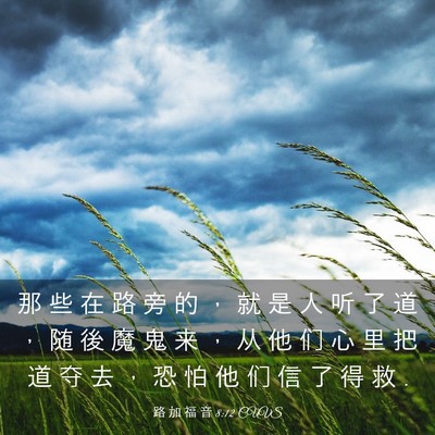 Picture 03 - 路 加 福 音 8:12 CUVS - 那 些 在 路 旁 的 ， 就 是 人 听 了 - Bible Verse Picture