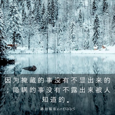 Picture 03 - 路 加 福 音 8:17 CUVS - 因 为 掩 藏 的 事 没 有 不 显 出 来 - Bible Verse Picture