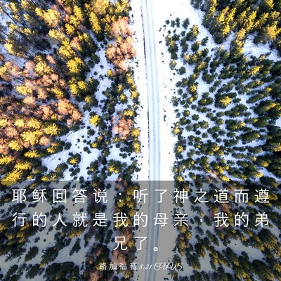 Picture 03 - 路 加 福 音 8:21 CUVS - 耶 稣 回 答 说 ： 听 了 神 之 道 而 - Bible Verse Picture