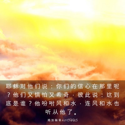 Picture 03 - 路 加 福 音 8:25 CUVS - 耶 稣 对 他 们 说 ： 你 们 的 信 心 - Bible Verse Picture